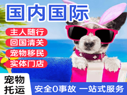 金昌金川机场快运国际宠物托运 【国